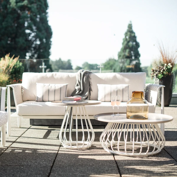 1. “5 Effective Ways to Keep Birds from Pooping on Your Patio Furniture”