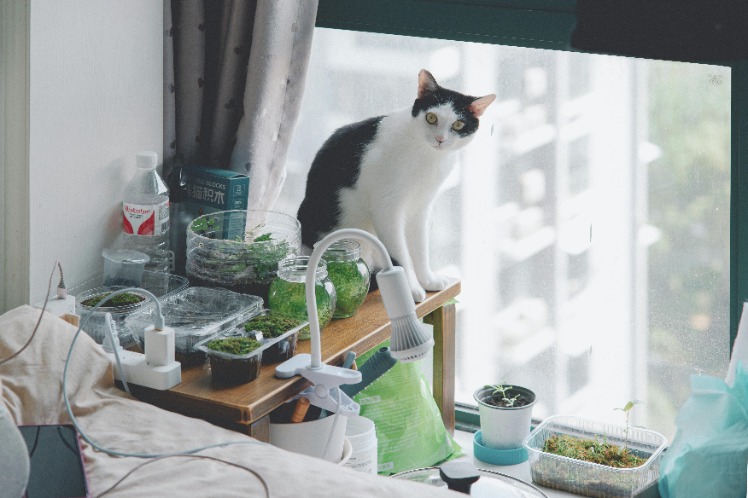 Upgrade Your Outdoor Space with Signature Ledge Lounger: Stylish and Comfortable Poolside Furniture for Ultimate Relaxation