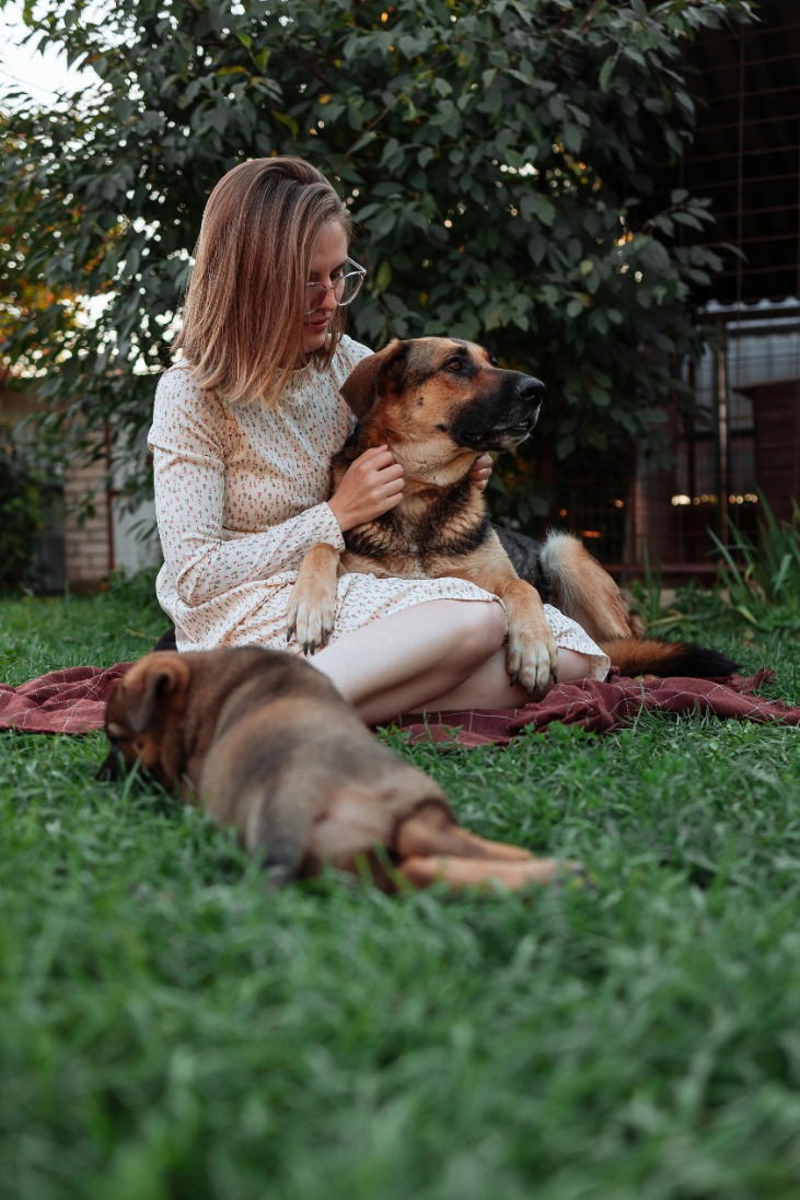 Effective Ways to Keep Dogs Off Outdoor Furniture: Tips and Tricks to Prevent Your Pooch from Jumping on Your Patio Chairs and Tables