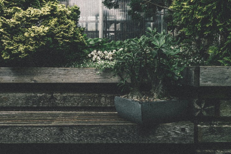 Keep your outdoor teak wood furniture looking beautiful with these care tips – from cleaning to sealing, we’ve got you covered!