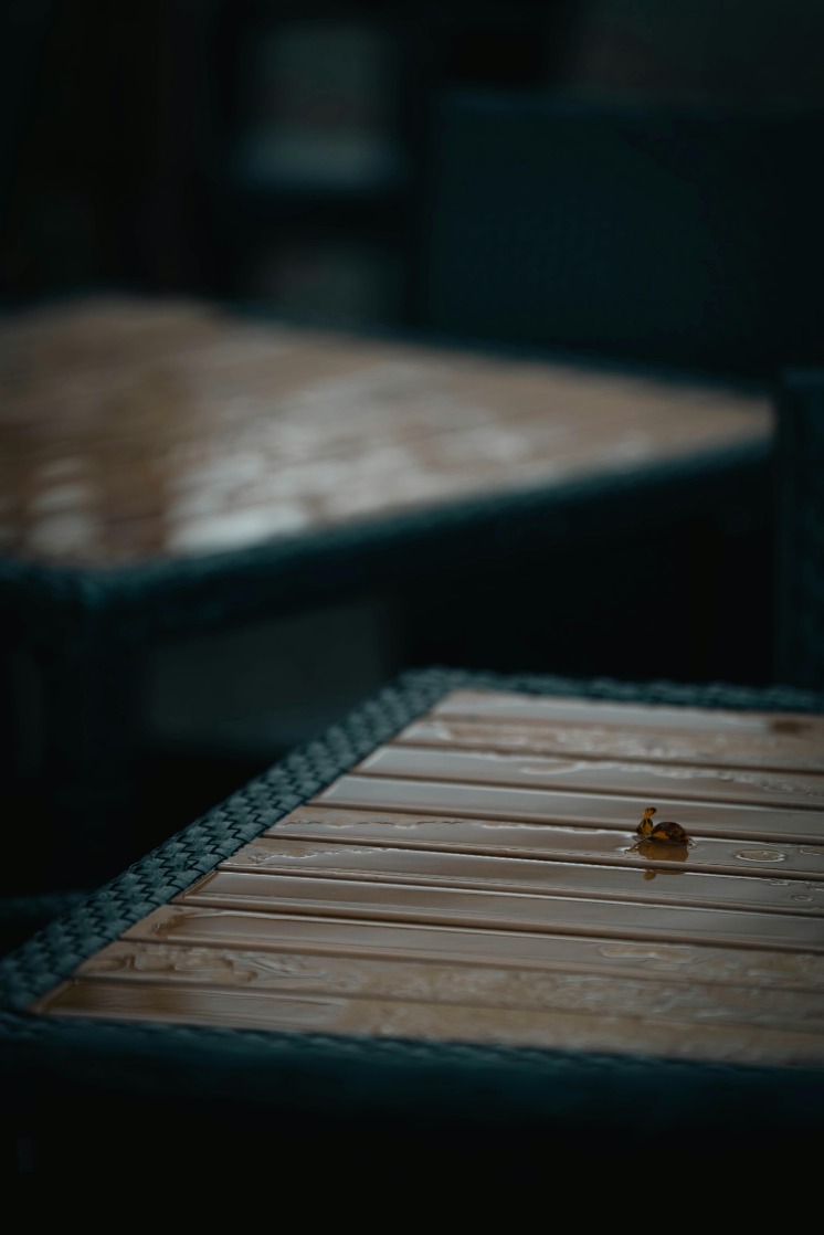 Discover the Most Weather Resistant Patio Furniture: Explore Durable Options for Your Outdoor Space!