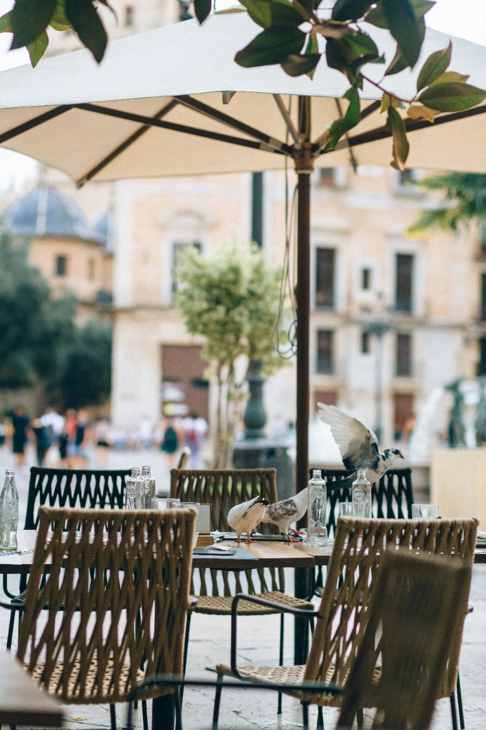 Keep birds away from your outdoor furniture with these effective tips and tricks to prevent them from leaving unwanted messes behind.
