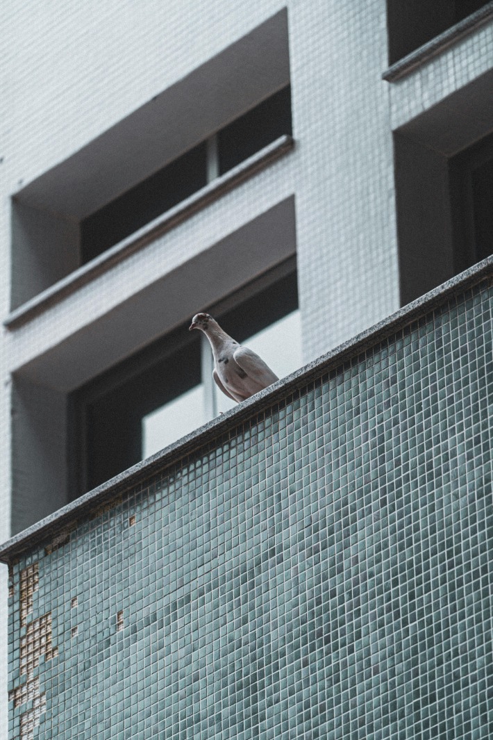 Save big on Ledge Lounger Chaise with our exclusive coupon code – Relax in style for less with these amazing discounts!