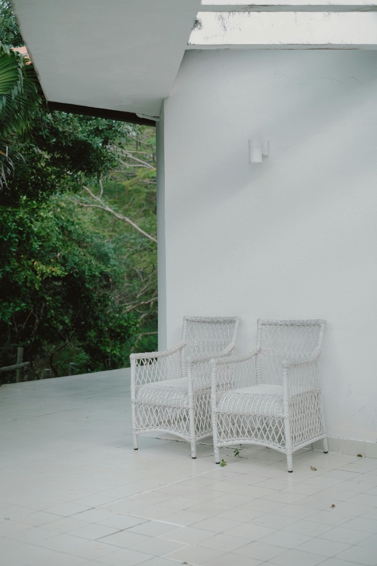 Effective tips for cleaning bird droppings off outdoor furniture – keep your patio looking spotless with these simple methods!